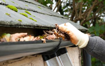 gutter cleaning Park End